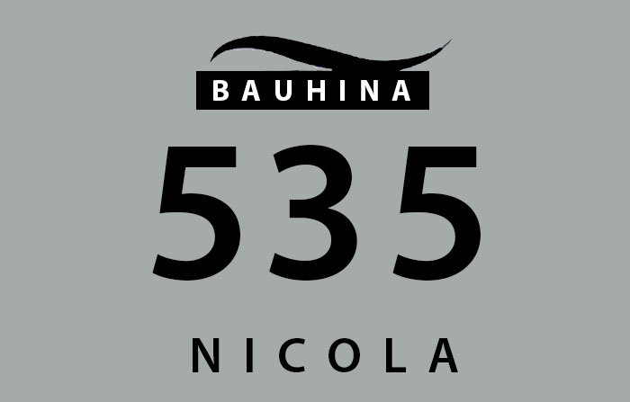 Bauhinia Logo